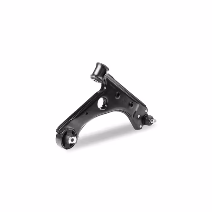 طبق سانگ یانگ رودیوس