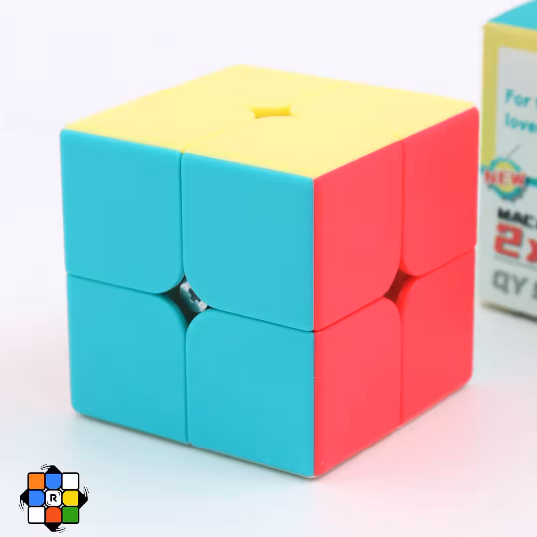 2*2 کای وای نئون