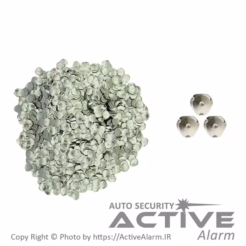 قیمت شاسی ریموت ساده پولکی