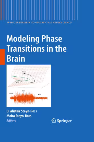 خرید و دانلود نسخه کامل کتاب Modeling Phase Transitions in the Brain