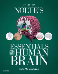 خرید و دانلود نسخه کامل کتاب Nolte’s Essentials of the Human Brain