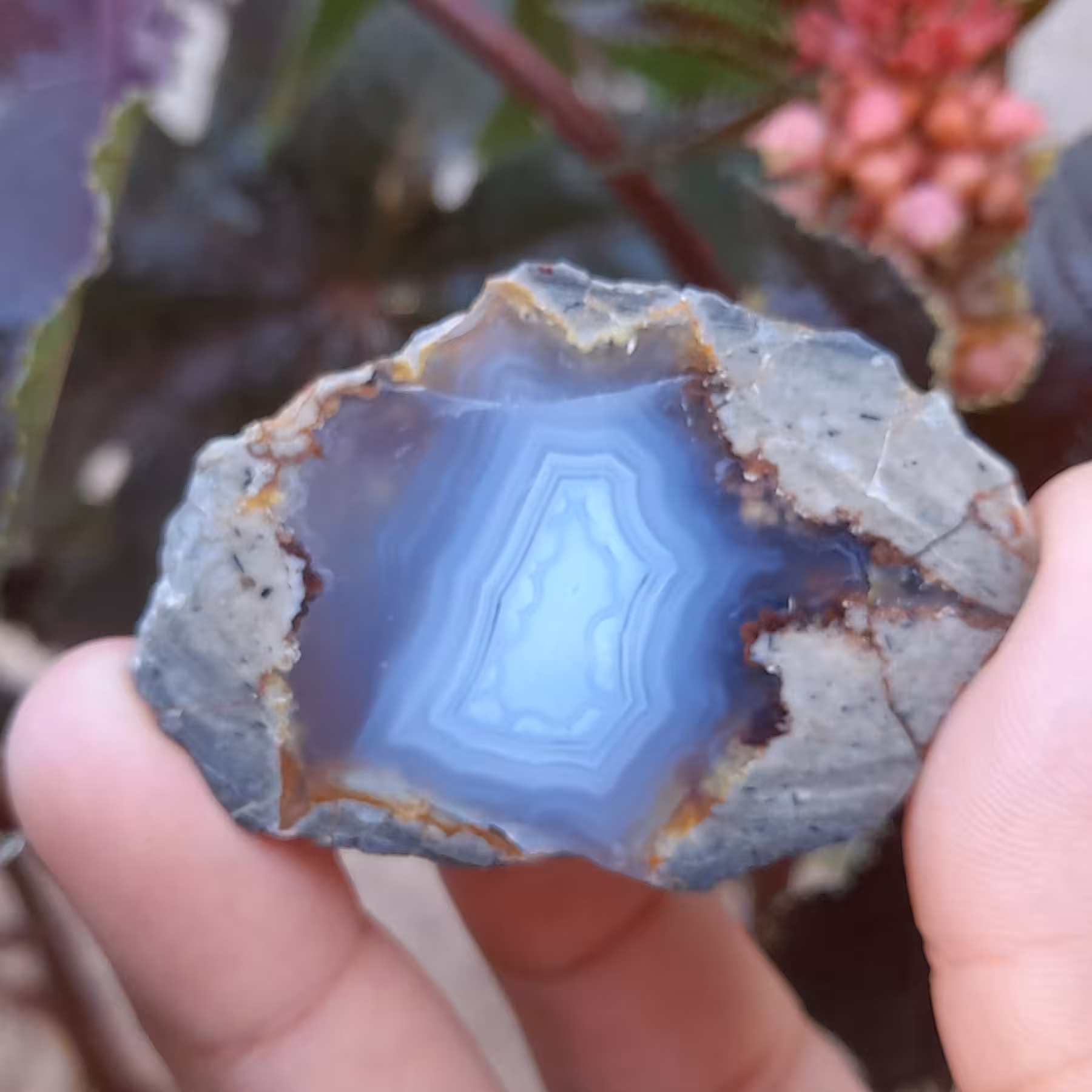 سنگ کلکسیونی سلیمانی