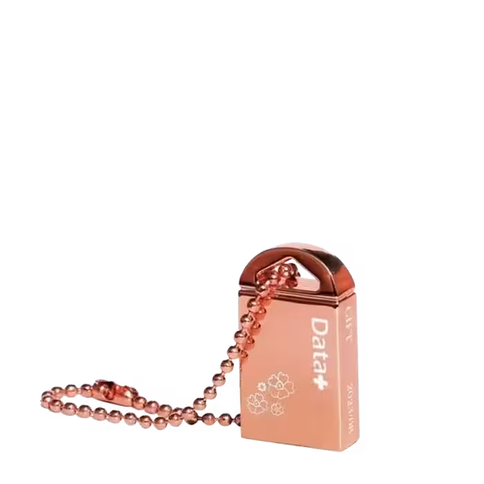 فلش مموری دیتا پلاس مدل GIFT ظرفیت 64  گیگابایت