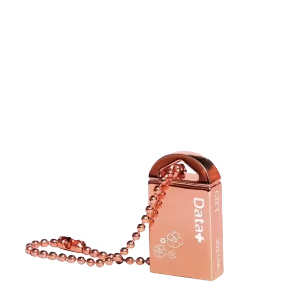 فلش مموری دیتا پلاس مدل GIFT ظرفیت 64  گیگابایت