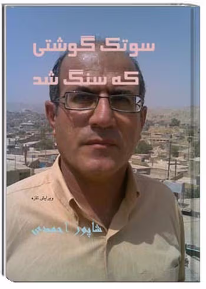 کتاب سوتک گوشتی که سنگ شد