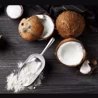 پودر نارگیل نیمه چرب 500 گرمی