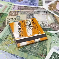 کبریت کتابی مدل ببر