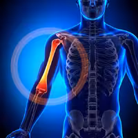 پاورپوینت آماده با موضوع آسیب شناسی عضلات