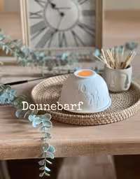 جاشمعی اسکیمویی (10798)