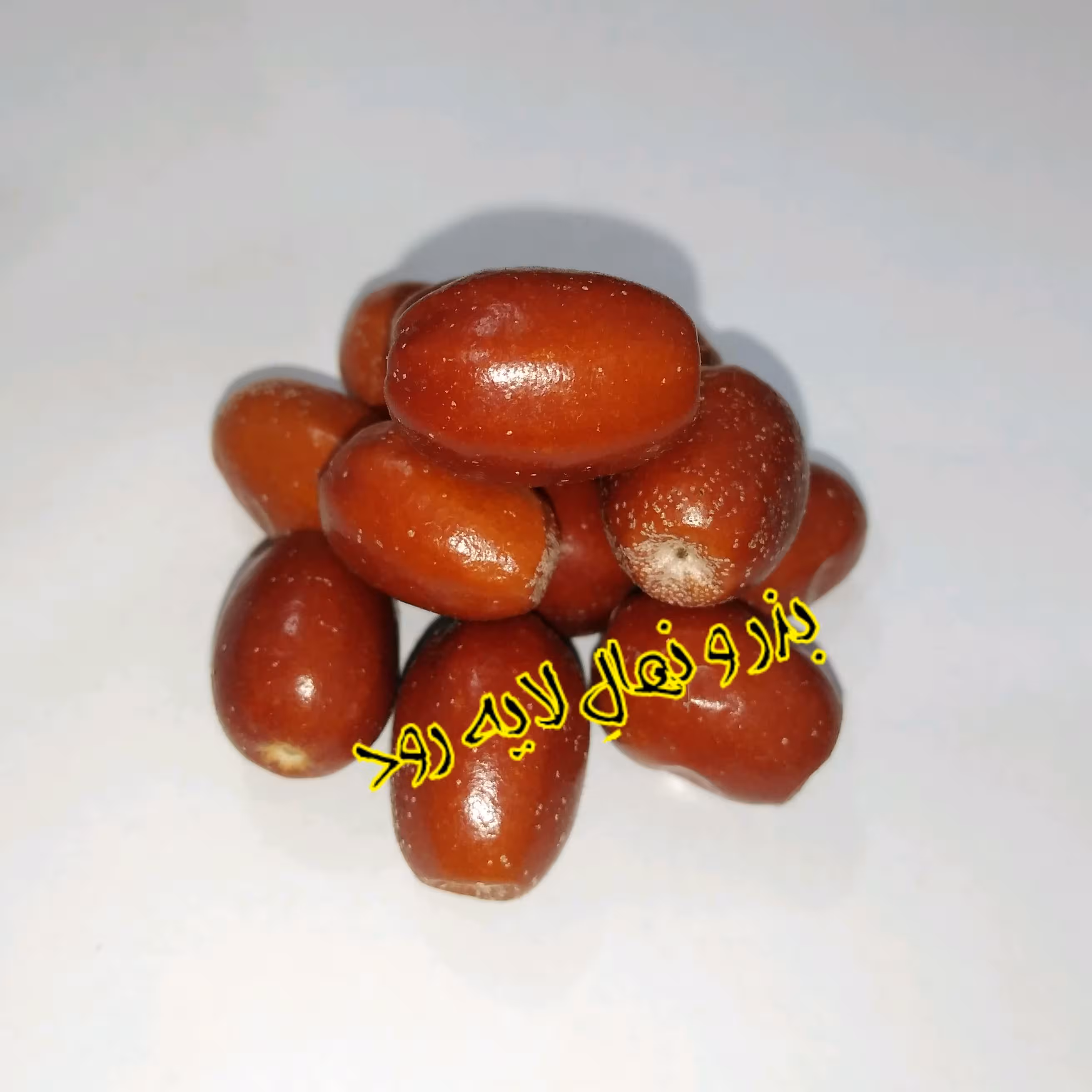 بذر درخت سنجد (بسته 10 عددی)  