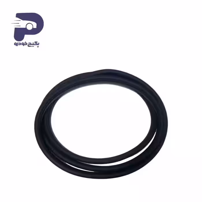 نوار دور درب جلو راست پژو 405 و پارس 494602 جی ای اس پی **