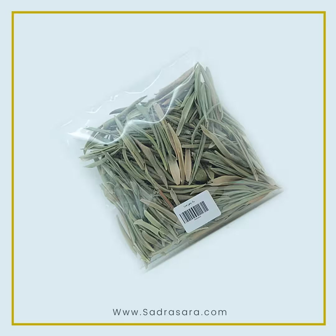 برگ زیتون صدرا
