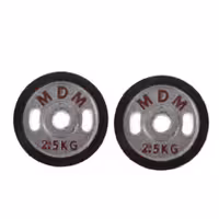 صفحه هالتر دورلاستیک MDM بسته 2عددی وزن 2.5 کیلوگرم