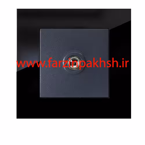 پریز فیش آنتن توکار دلند مدل آسا پلکسی مشکی