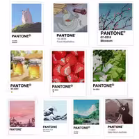 استیکر طرح Pantone مجموعه 10 عددی