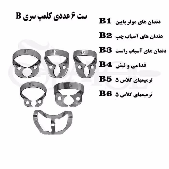 کلمپ رابردم سری B ( برینکر ) کاریزما (Charisma)