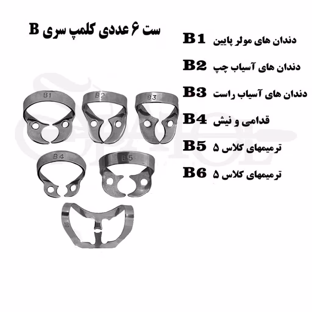 کلمپ رابردم سری B ( برینکر ) کاریزما (Charisma)