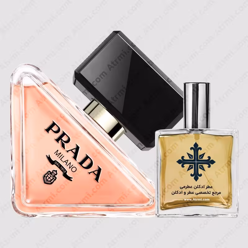 عطر ادکلن عطرمی مدل پارادوکس زنانه – Atrmi Paradoxe Women