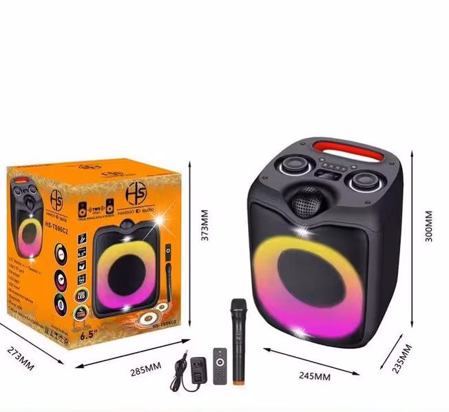 اسپیکر مدل HS-TS06C2