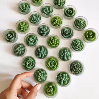 قالب شمع مدل کاکتوس مینیاتوری 5 تایی