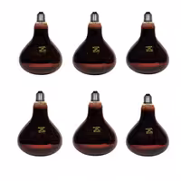 لامپ مادون قرمز 250 وات لامپ نور پایه E27 (بسته 6 عددی)کیادکالا