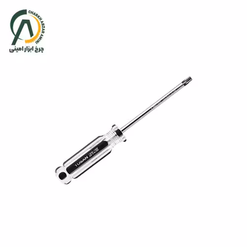 پیچ گوشتی ستاره ای توسن سایز T40