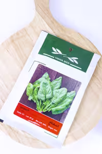 بذر گیاه اسفناج