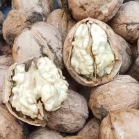 گردو درجه یک ممتاز  مغز سفید شهر تویسرکان 