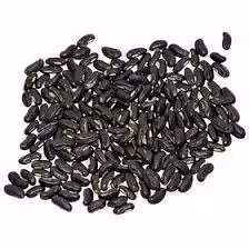 تخم  فرنجمشک (100گرم )