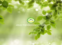 پوستردیواری طبیعت کد 13243