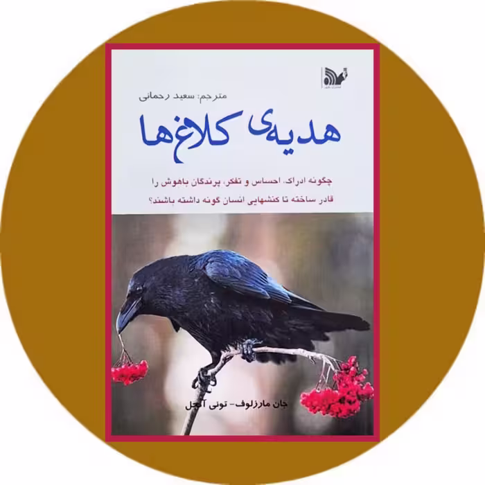 کتاب هدیه کلاغ ها - خرید با تخفیف چهل درصد از کتاب دایره قهوه ای