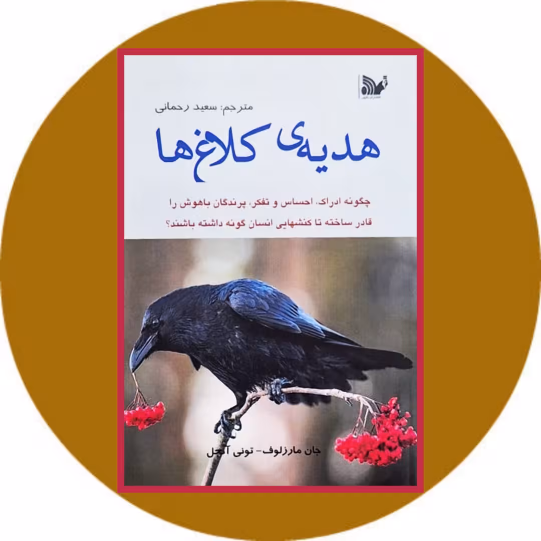 کتاب هدیه کلاغ ها - خرید با تخفیف چهل درصد از کتاب دایره قهوه ای