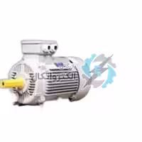 الکتروموتور 11KW سه فاز 900RPM ارسم گوانگلو