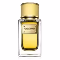 ادوپرفیوم Velvet Mimosa Bloom از برند Dolce&Gabbana