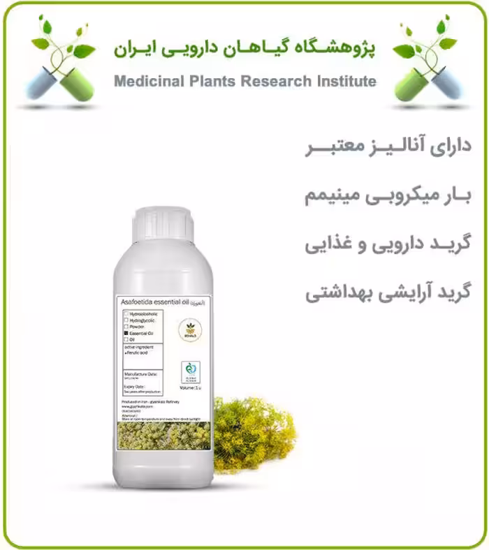 اسانس آنغوزه طبیعی