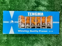 خرید سوت استیل 10تایی TENGMA