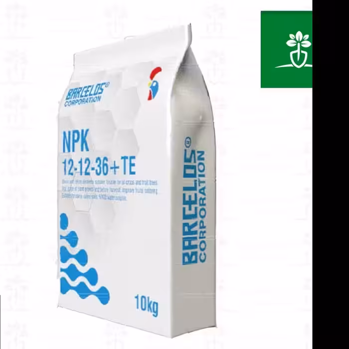 کود کلات NPK 12-12-36 بارسلوس