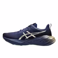کفش دویدن مردانه asics Novablast 4 Platinum