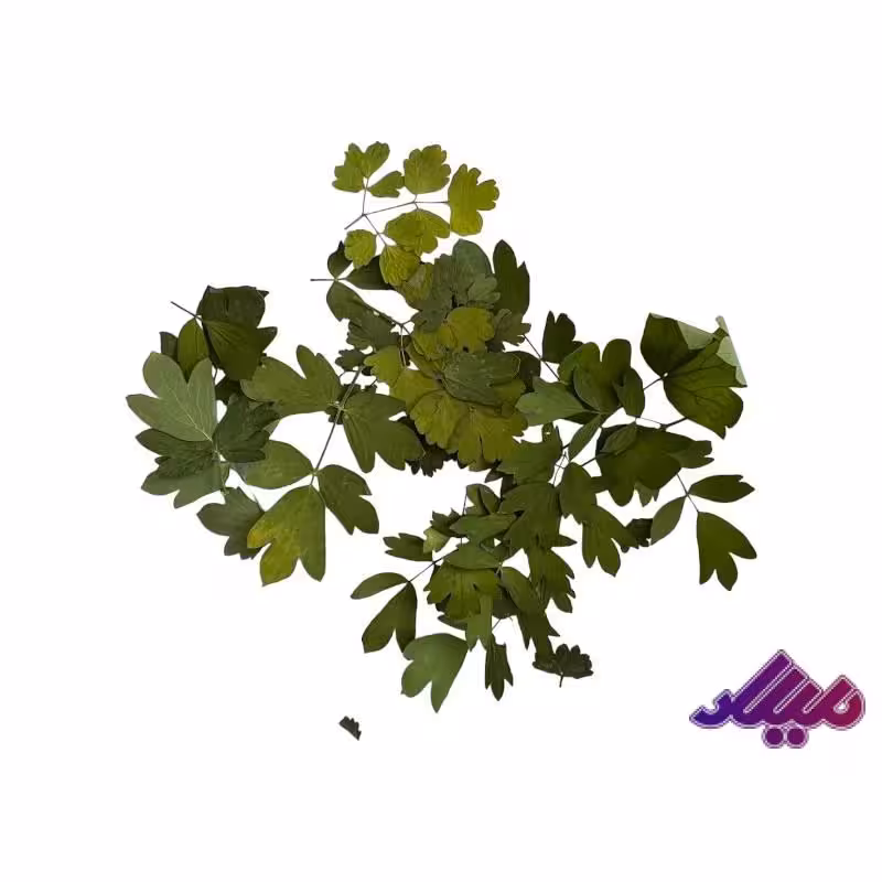 گل خشک برگ کد 12 تعداد 10 عددی