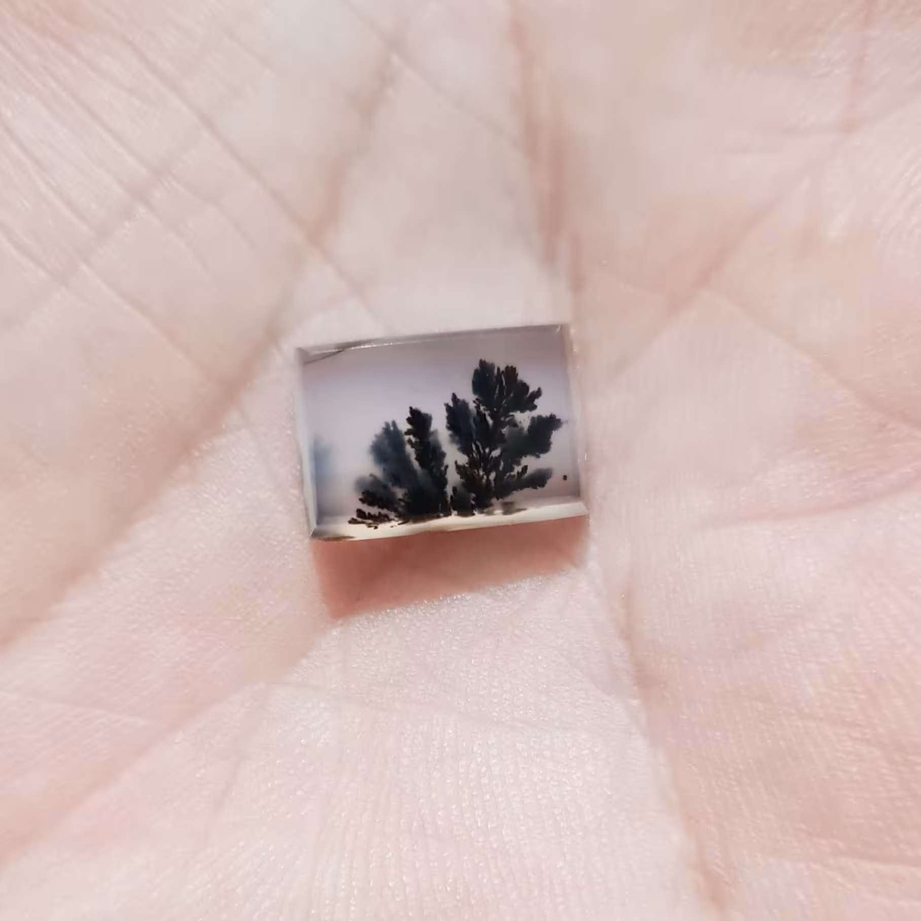 شجر قاینات سه بعدی