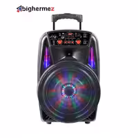 اسپیکر چمدانی پی نت مدل CH-8613