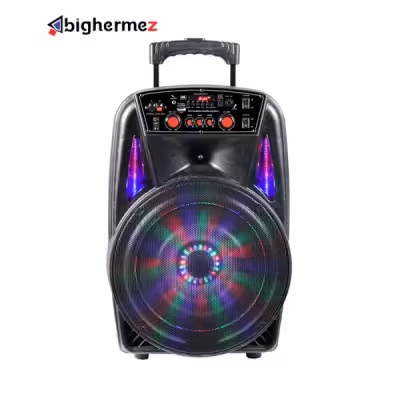 اسپیکر چمدانی پی نت مدل CH-8613
