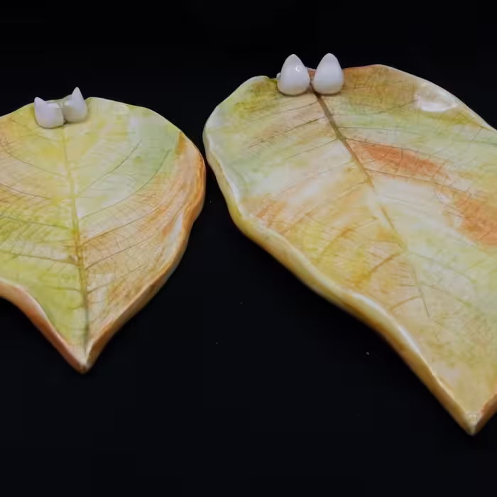 شیرینی خوری سرامیکی هیوا طرح برگ پاییز کد 10918872 مجموعه 2عددی 