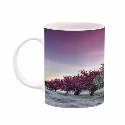 ماگ کاکتی طرح منظره مدل mgh18325