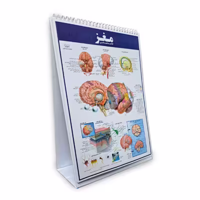 کتاب اطلس کالبدشناسی(آناتومی) بدن انسان اثر حمیدرضا بیات انتشارات اندیشه کهن