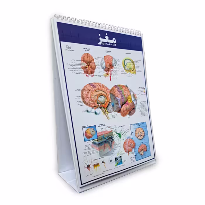 کتاب اطلس کالبدشناسی(آناتومی) بدن انسان اثر حمیدرضا بیات انتشارات اندیشه کهن