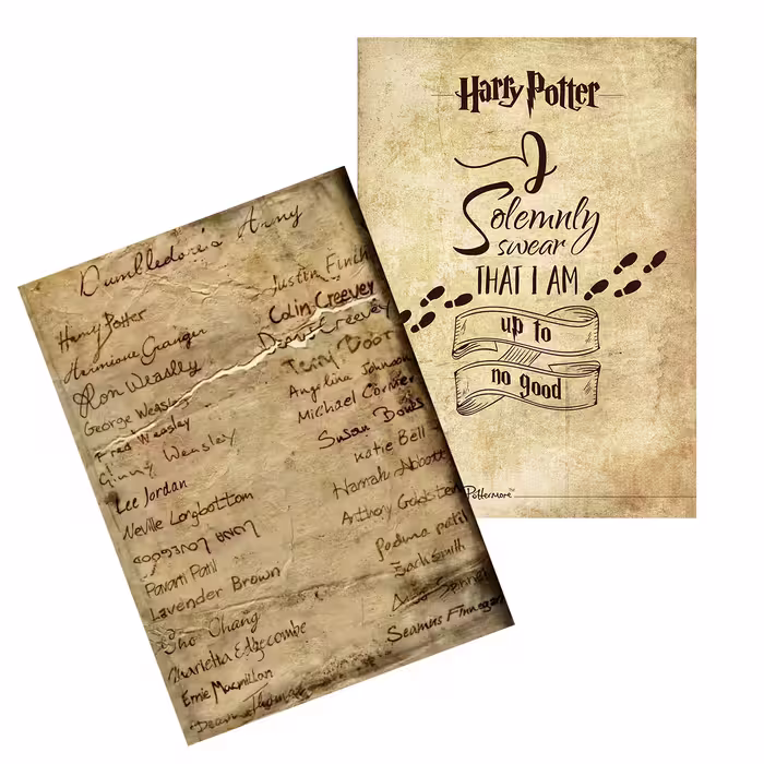 اسباب بازی زینتی مدل نقشه غارتگر هری پاتر بسته 2 عددی به همراه کارت