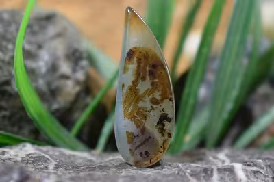 عقیق شجر هند