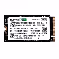 حافظه SSD M2 کی هاینیکس مدل 2242 SK Hynix ظرفیت 256 گیگابایت