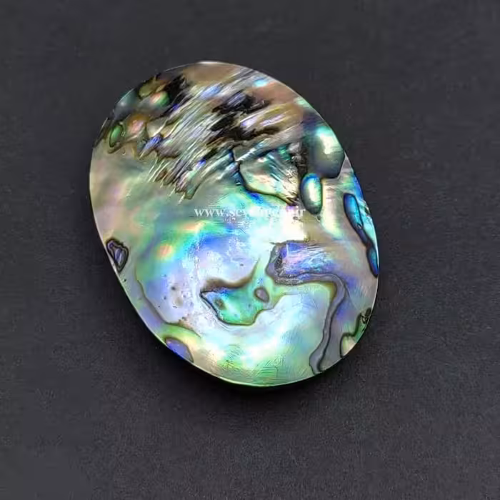نگین بزرگ صدف آبالون کلکسیونی (کدA889)
